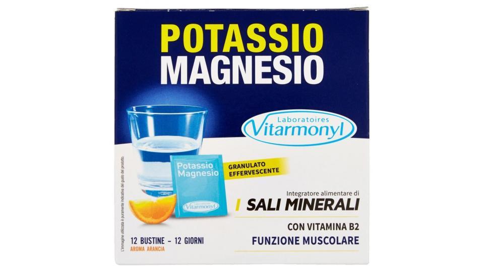 Laboratoires Vitarmonyl Potassio Magnesio