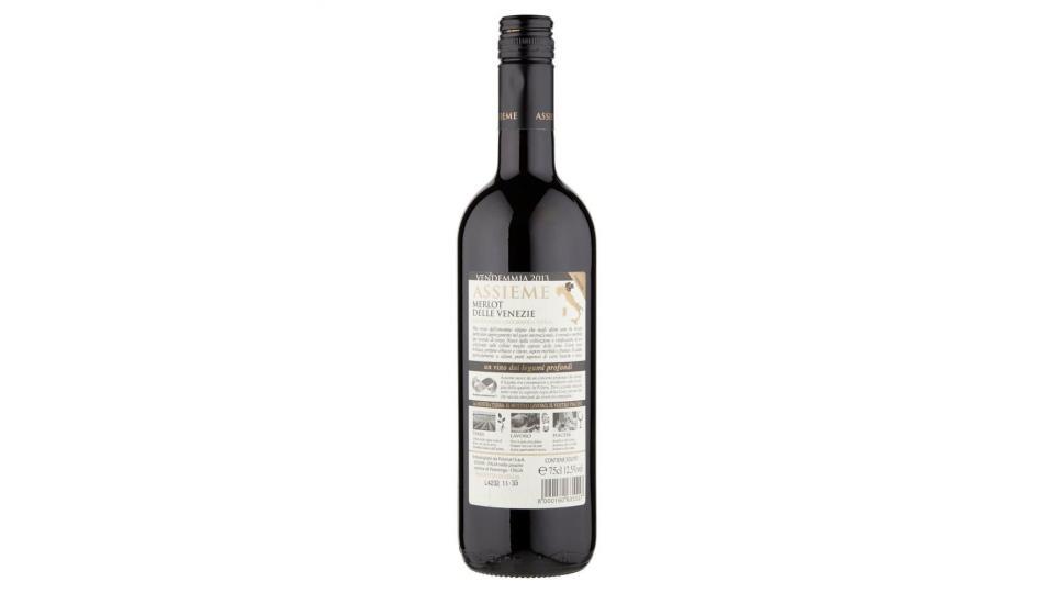 Folonari Assieme Merlot Delle Venezie Igt