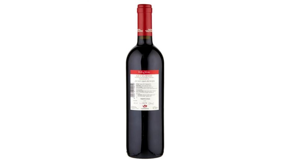 Cantina Valtidone Viti & Vini Gatturnio Frizzante Doc