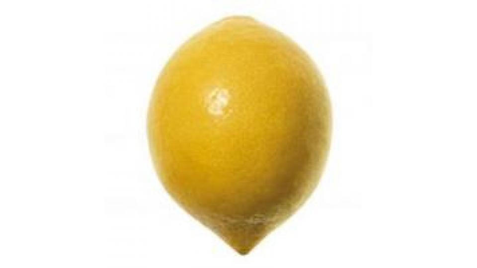 Limone Bianchetto