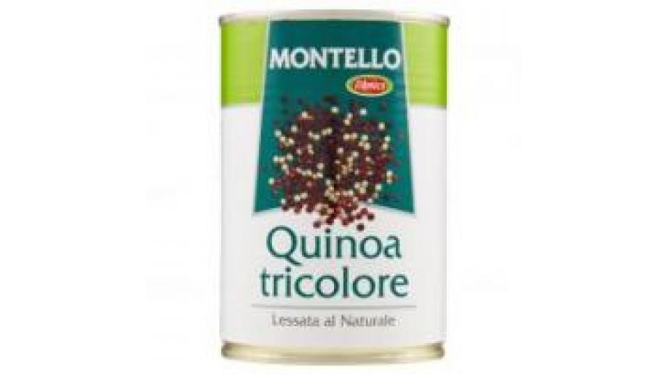 Quinoa Lessata al Naturale