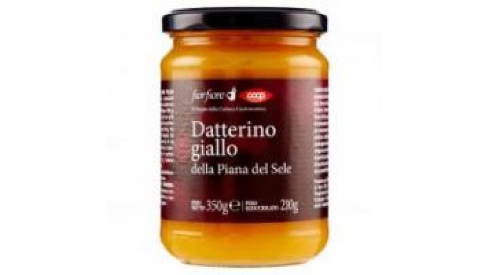 Datterino Giallo Della Piana Del Sele