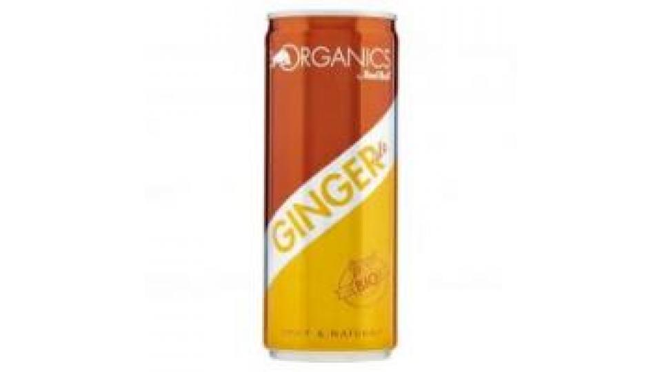 Organics Ginger Ale By Red Bull Bio 250 Ml Lattina