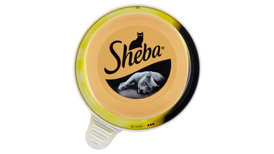 Sheba pate vitello
