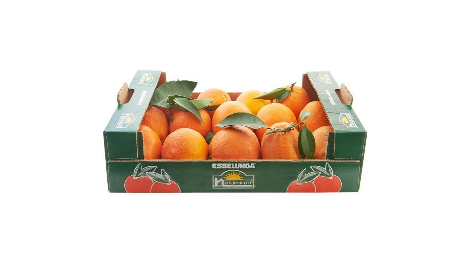 Esselunga Naturama, arance confezionate cassetta 