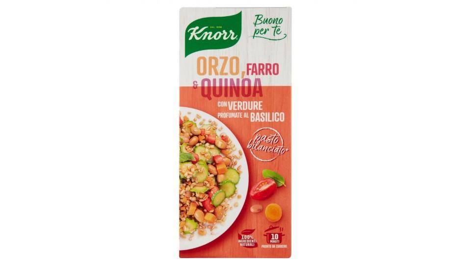 Knorr, Buono per te orzo farro e quinoa con verdure profumate al basilico