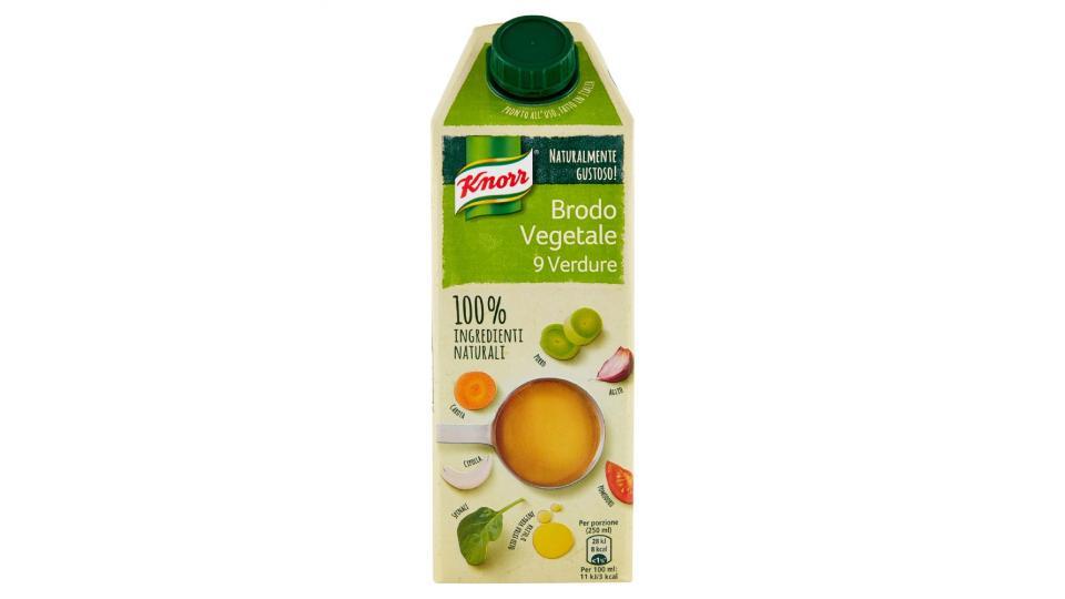 Knorr, Brodo Vegetale 9 Verdure
