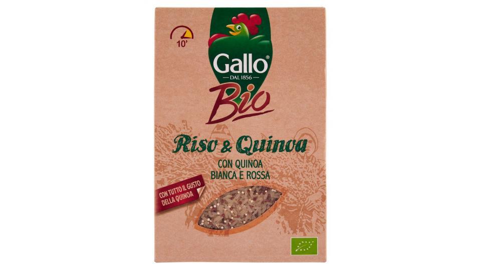 Gallo Bio Riso e Quinoa