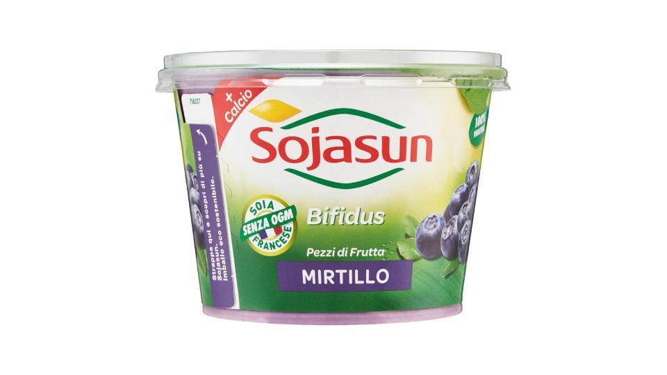 Sojasun, Bifidus soia fermentata pezzi di frutta al mirtillo