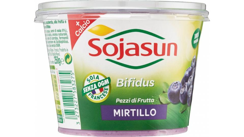 Sojasun, Bifidus soia fermentata pezzi di frutta al mirtillo