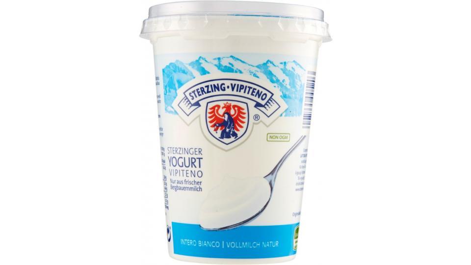 Sterzing Vipiteno, yogurt intero bianco