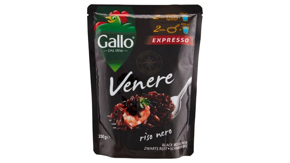 Gallo, Expresso riso nero Venere