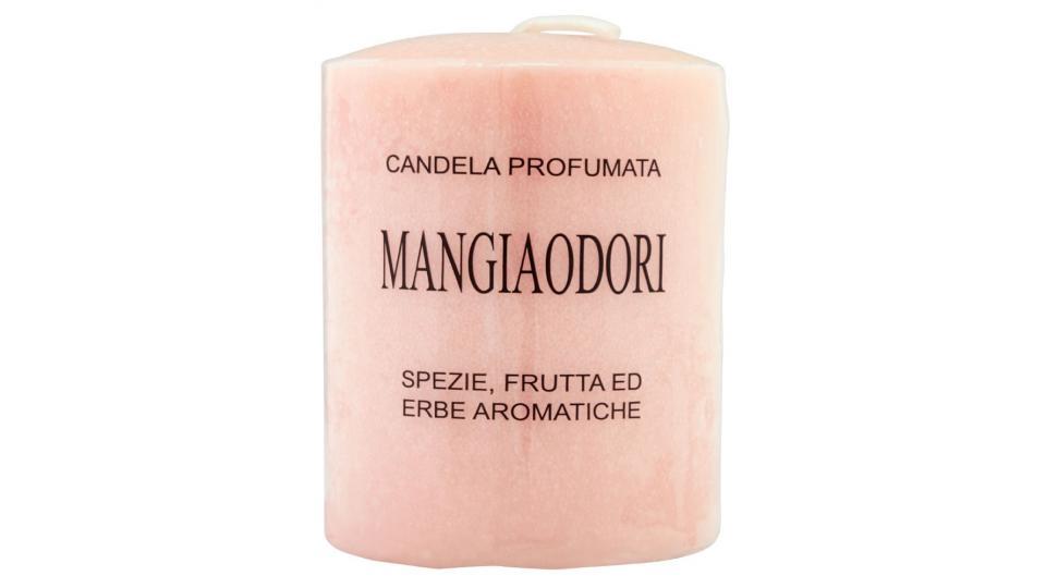 Candela Mangiaodori profumata, spezie, frutta ed erbe aromatiche