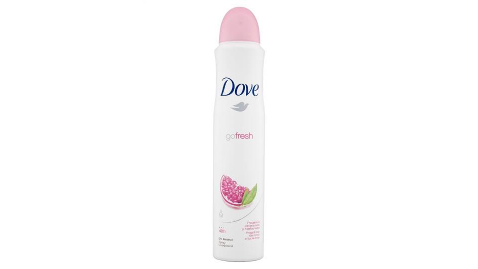 Dove, Go Fresh deodorante spray