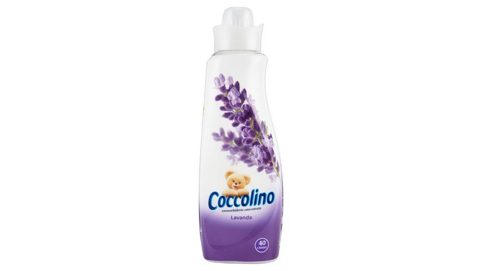 Coccolino, Lavanda ammorbidente concentrato