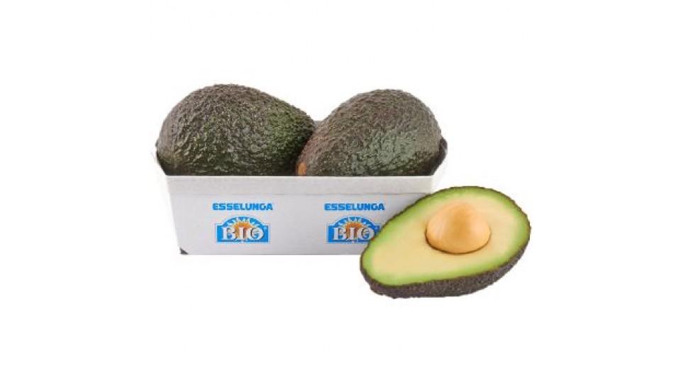 Esselunga Bio, avocado Hass biologico 