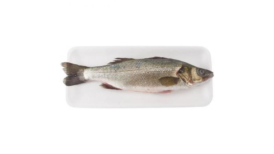 Esselunga Branzino