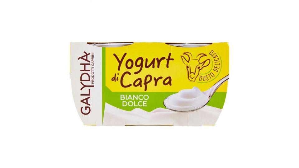 Galydhà, yogurt di capra bianco