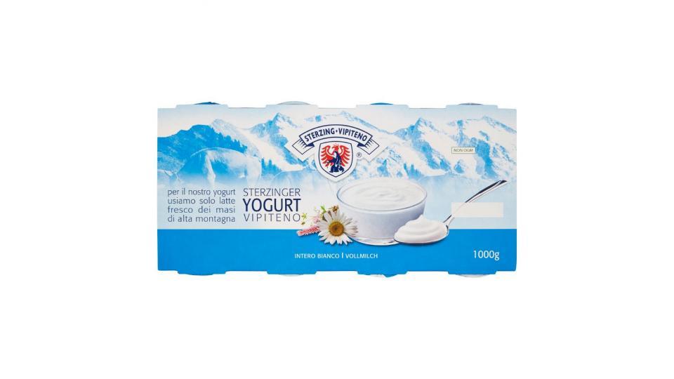 Sterzing Vipiteno, yogurt intero bianco