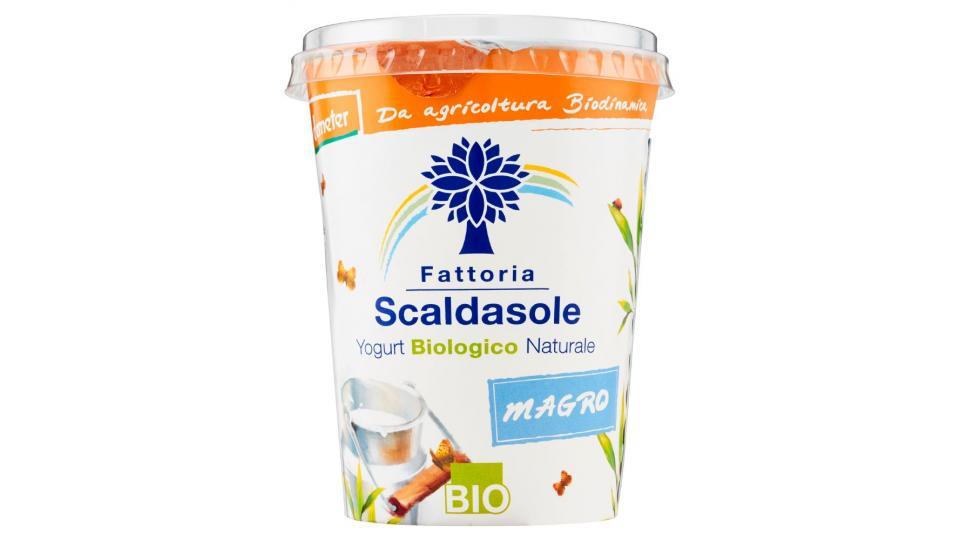 Fattoria Scaldasole, yogurt biologico naturale magro