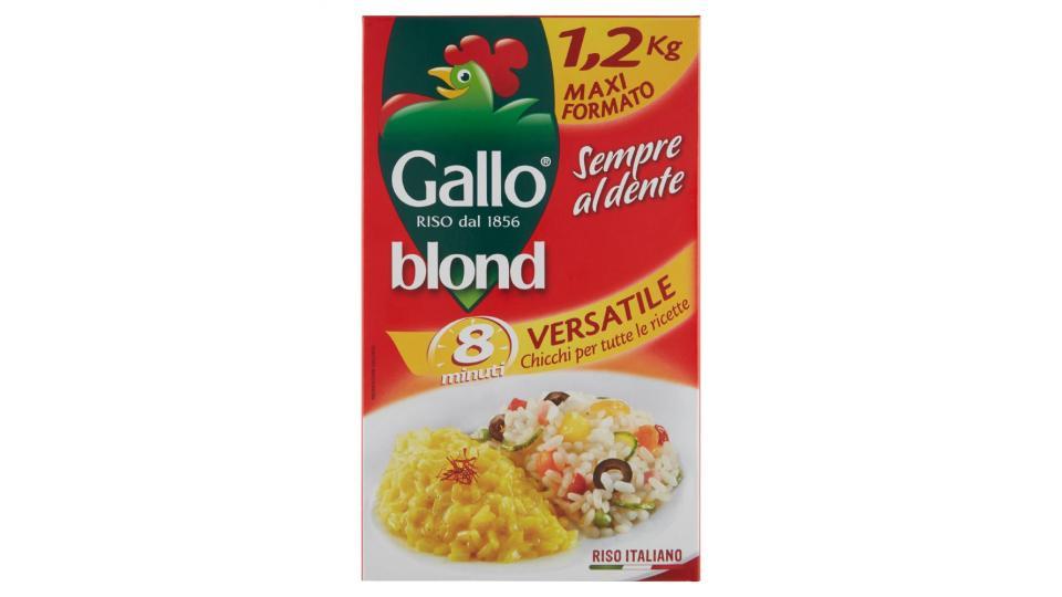 Gallo, Blond riso Versatile