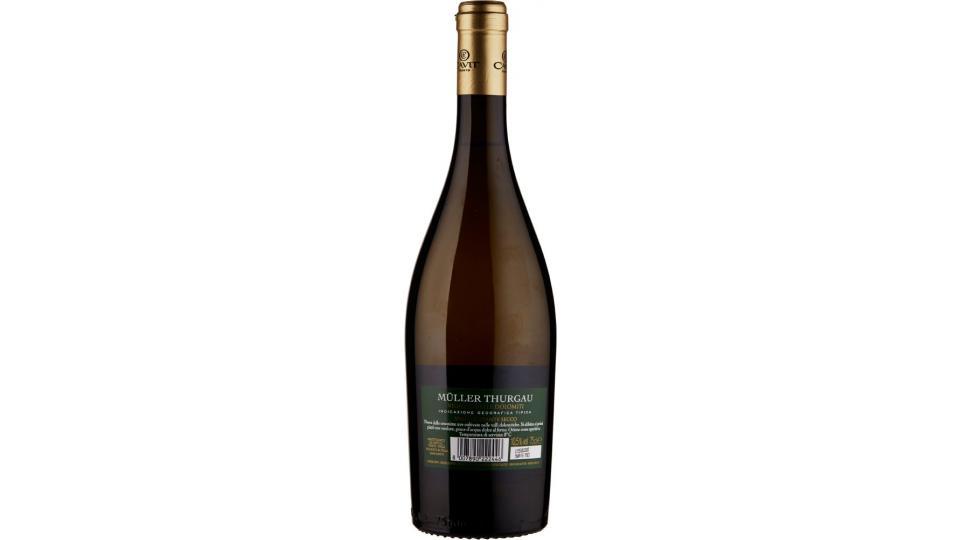Cavit Trento Mastri Vernacoli, Müller Thurgau Vigneti delle Dolomiti frizzante 