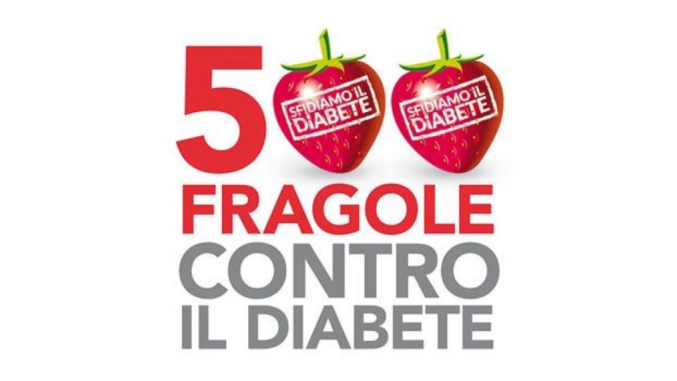 Set Quaderni (Mini Piu'Maxi In Colori Assortiti) Per Associazione Italiana Diabete Ricerca GRATIS CON