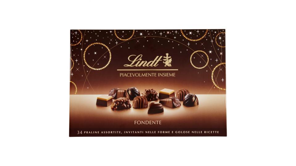 Lindt Piacevolmente Insieme Fondente