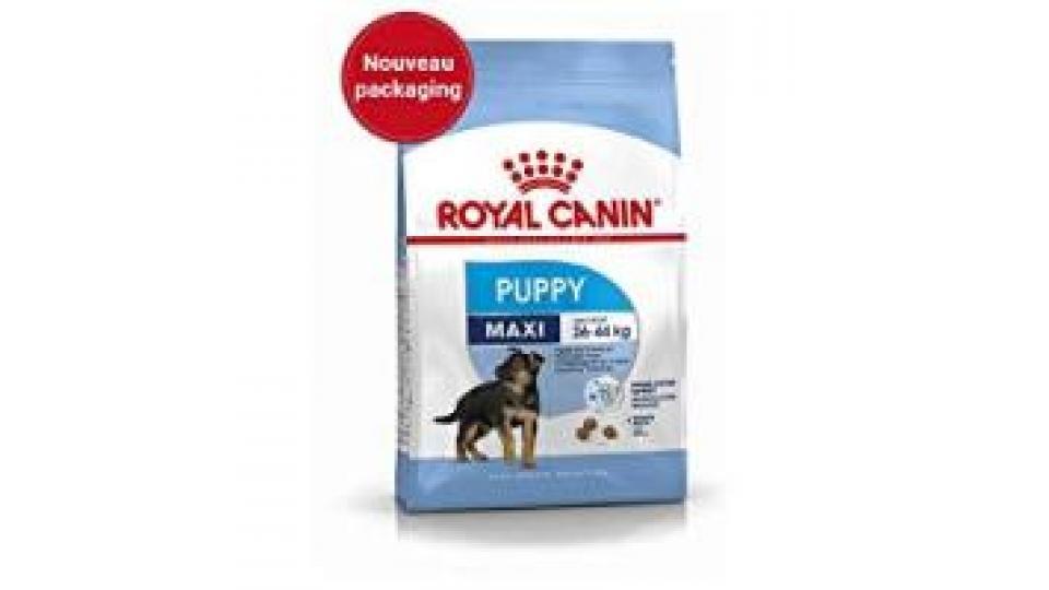 Royal Canin Alimento Cane Maxi Junior
