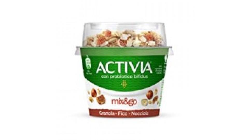 Danone, Activia Mix&go granola - miele