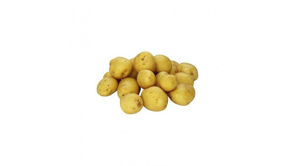 Patata gialla, 1000-1100g