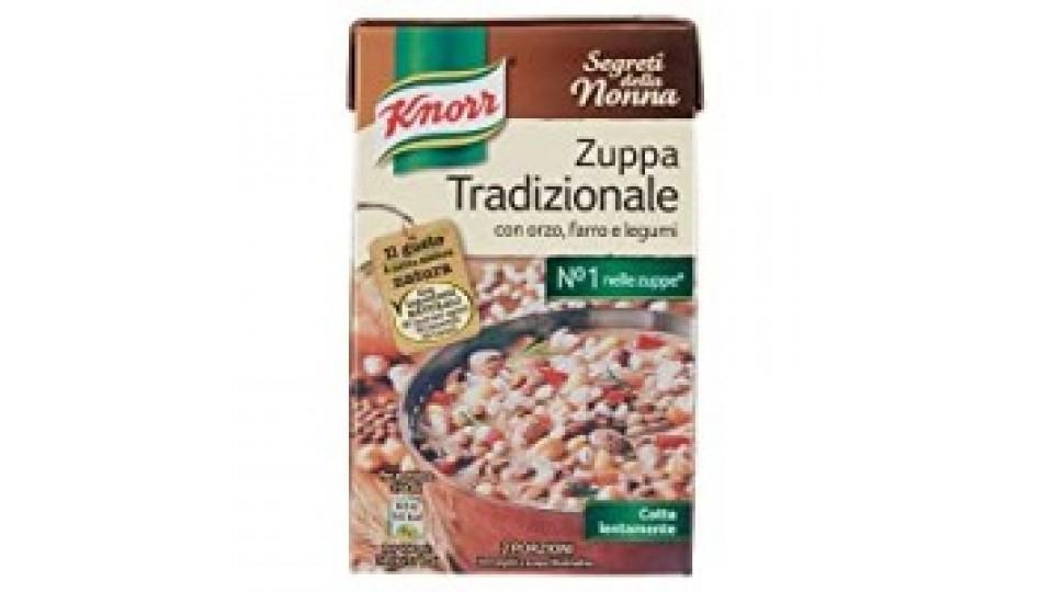 Knorr zuppa tradizionale orzo farro legumi brick