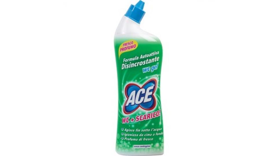 Ace Wc Gel Disincrostante