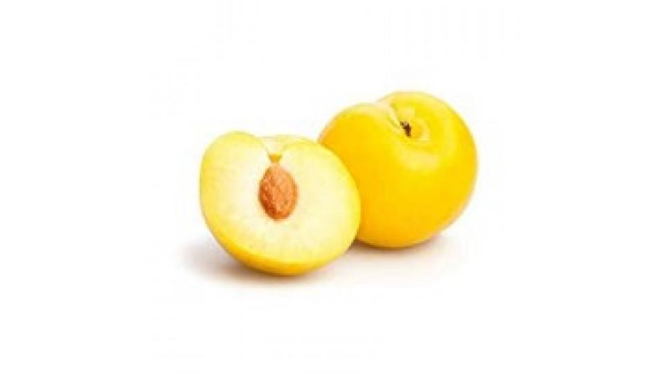 PRUGNE GIALLE