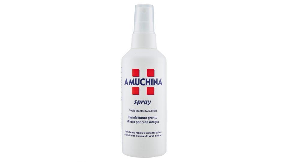 Amuchina Spray