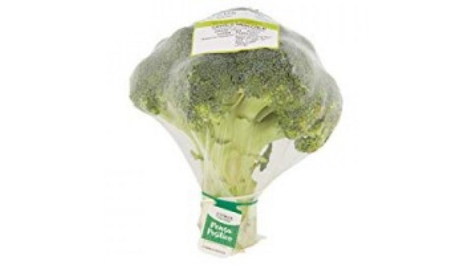 Broccoletti