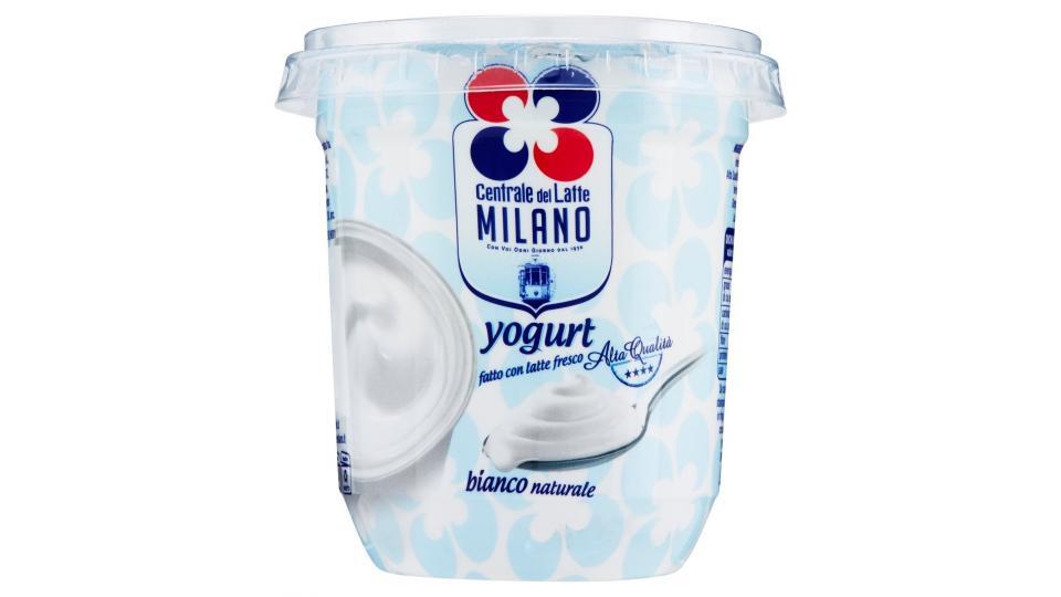 Centrale del Latte Milano yogurt bianco naturale