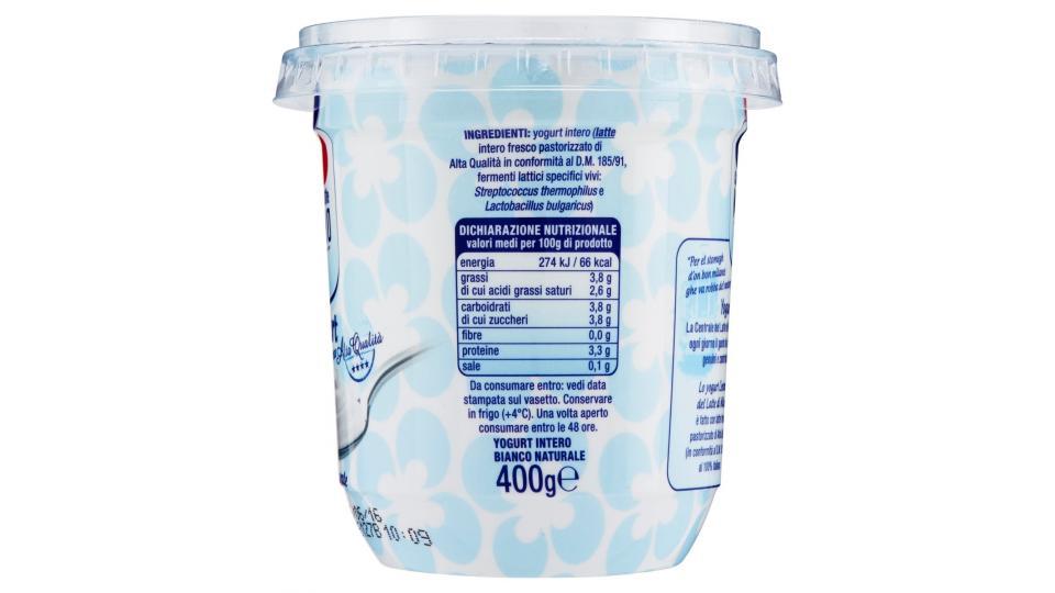Centrale del Latte Milano yogurt bianco naturale