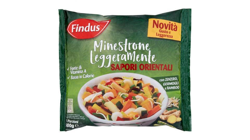 Findus Minestrone Leggeramente Sapori Orientali