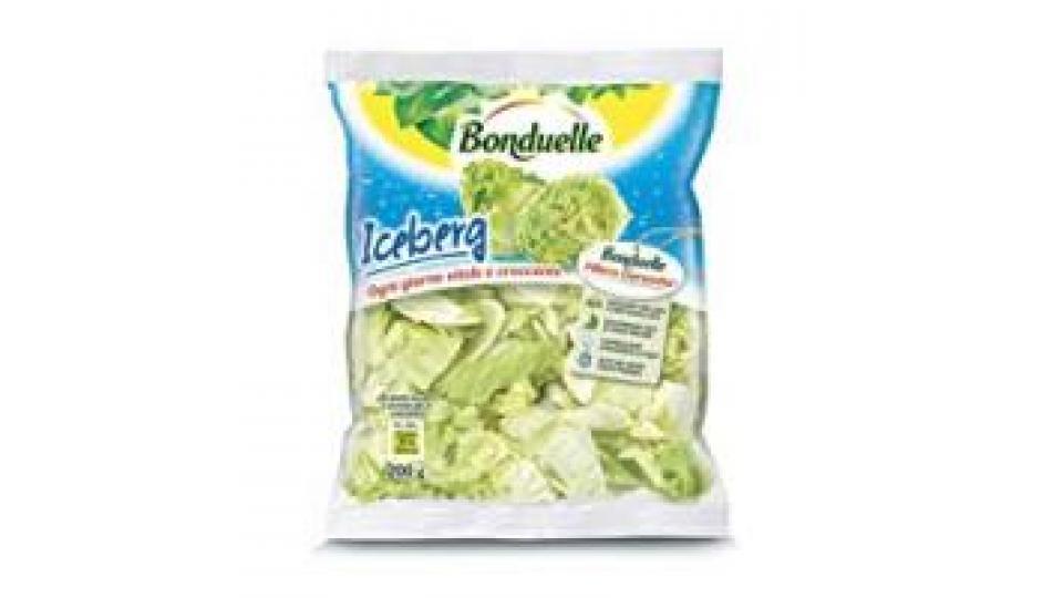 Bonduelle Iceberg