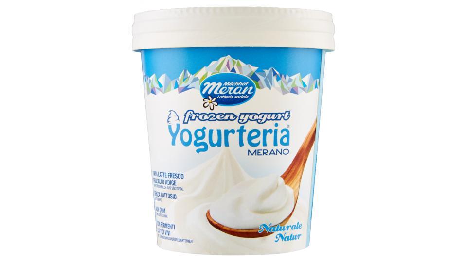 Meran Yogurteria Merano frozen yogurt Naturale