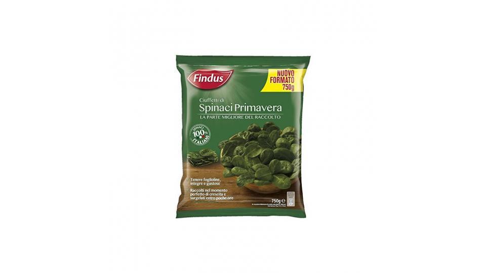 Findus Spinaci Primavera