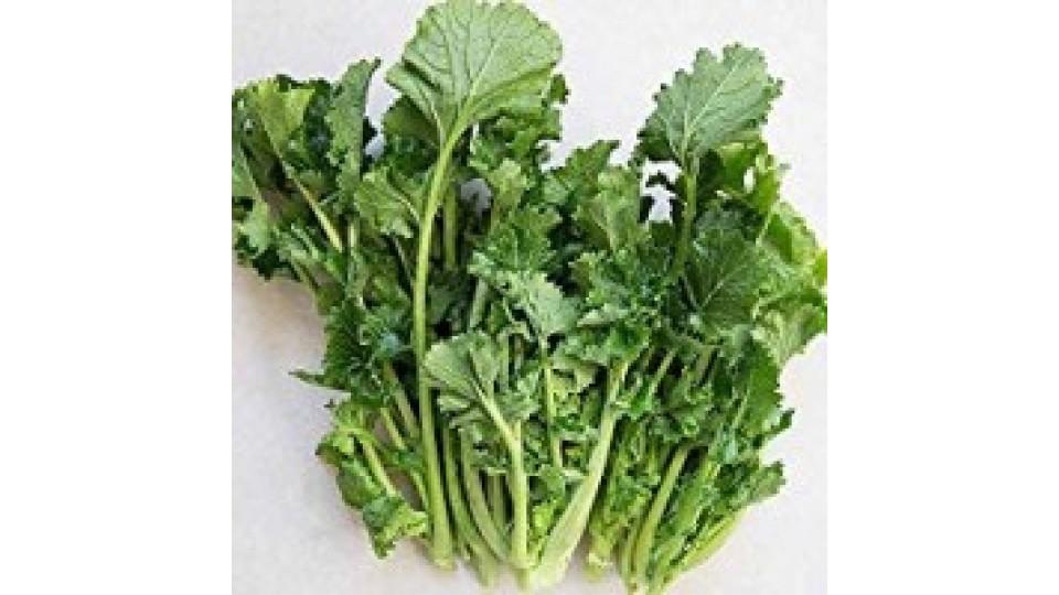 CIME DI RAPA