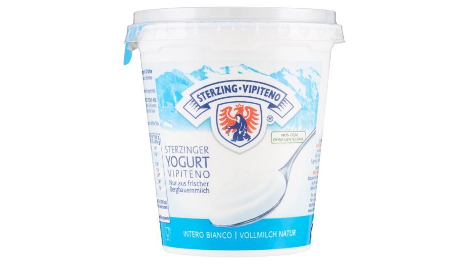 Vipiteno yogurt magro bianco