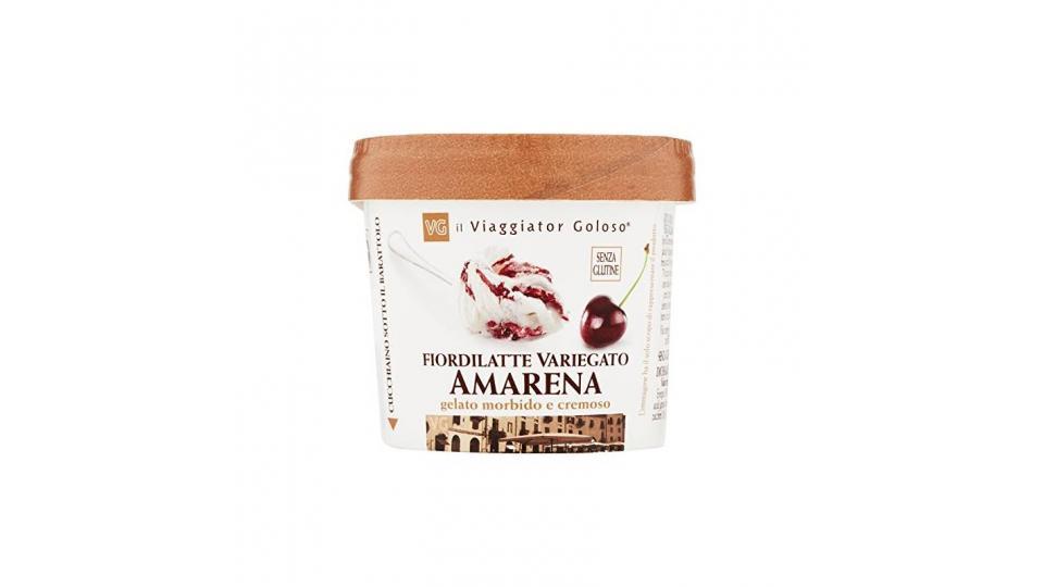 Gelato morbido e cremoso variegato Amarena 80g il Viaggiator Goloso