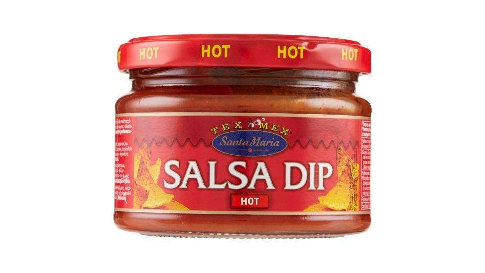 Santa Maria Tex Mex Salsa Dip Hot