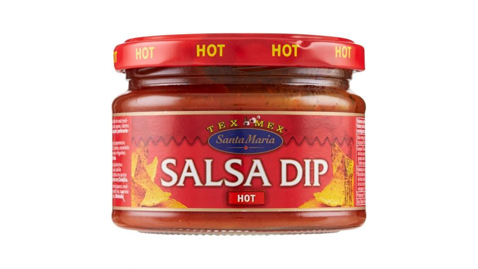 Santa Maria Tex Mex Salsa Dip Hot