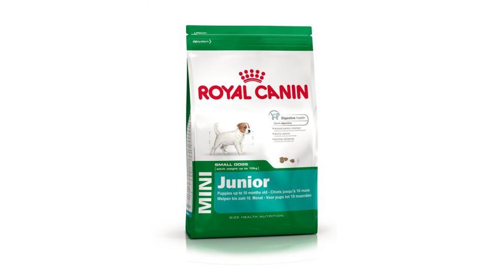 Royal Canin Alimento Cane Mini Junior
