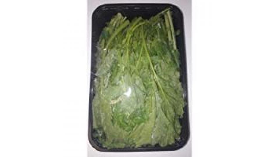 Cime di Rapa