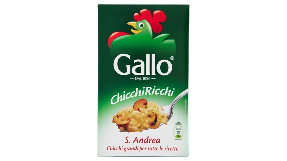 Gallo Chicchiricchi S. Andrea